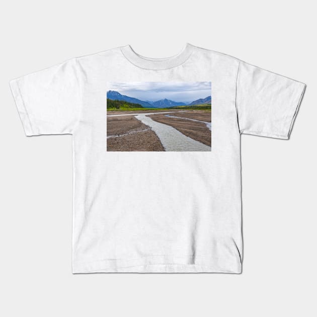 Denali Riverbed Kids T-Shirt by andykazie